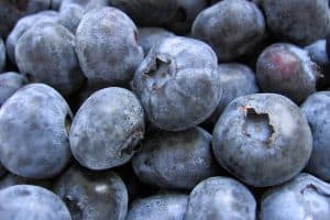 Organic Blueberries are relatively expensive, even though they are very nutritious, so if watching your budget you might consider alternative options and save berries such as blueberries as a treat or smaller part of your meals and deserts