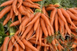 carrots - one of the value best buys for paleo ingredients per calorie, by ANDI rating and price