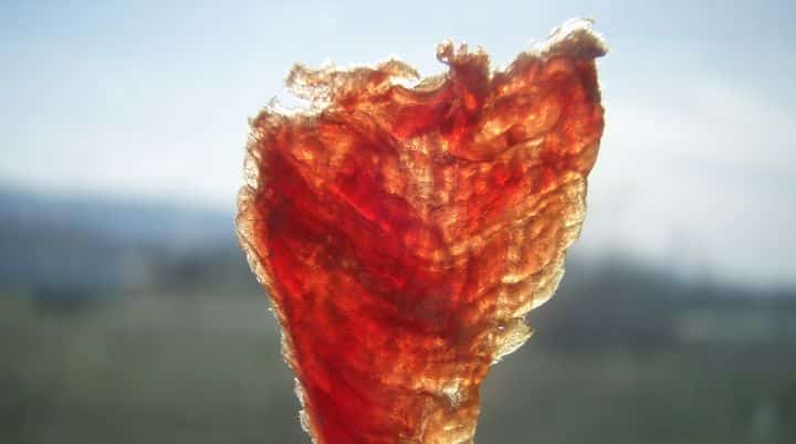 Paleo Jerky Slices - Our paleo jerky guide shows you where to buy paleo food online Paleo Jerky Thinly Sliced, held in the sunlight - Our paleo jerky guide shows you where to buy paleo food online