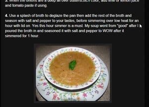 screenshot syndipaleogirl.blogspot.com paleo french onion soup