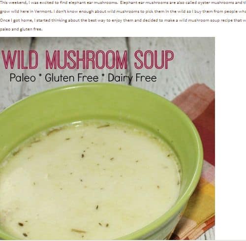 Wild Mushroom Soup from Confessions of an Overworked Mom – Quick and Easy, 5 Ingredients or Less, Dairy Free, Chicken Broth