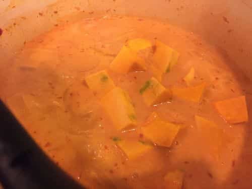Paleo Thai Coconut Curry - Add the Kabocha Squash to the curry