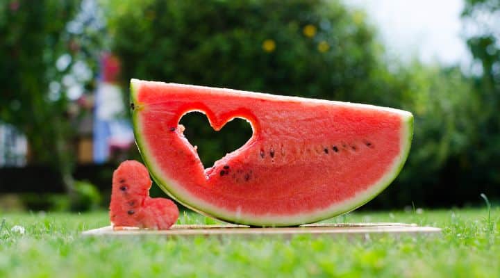 Featured Image of watermelon with heart shape cut out. Used to symbolize article about whether it's possible that the paleo diet reverse heart disease. In looking in depth at the Paleo diet and Heart Disease we examine recent research, personal testimonials and articles across the web on the topic, trying to answer the question: Does the Paleo Diet Lower Cholesterol? Looking at Paleo diet cholesterol results, Paleo Diet Heart Attack risks, Paleo high HDL results and Low cholesterol Paleo diet options, we cover a wide range of topics on Paleo and heart health