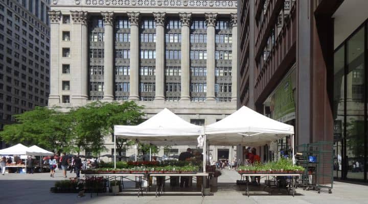 Photo of Daley Plaza Farmers Market, a place for picking up local Chicago organic high quality produce and natural meats, the same ingredients that are offered by healthy food delivery Chicago companies like those listed in this article and served at Paleo restaurants Chicago locations. This guide will cover all the best Paleo meal delivery Chicago options available.