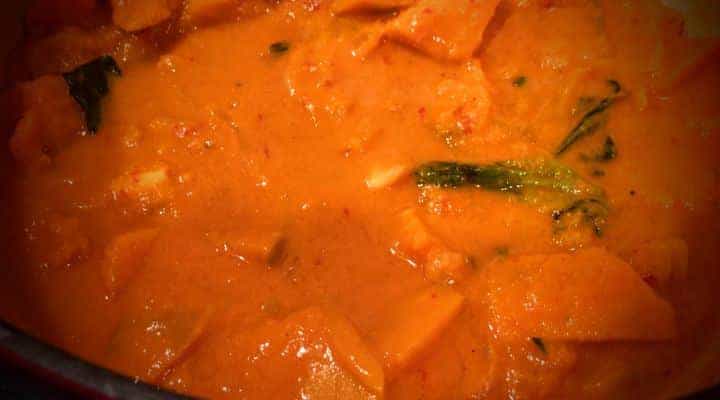 Homemade Paleo Pumpkin Curry recipe results - made with Paleo red curry paste one of my favorite Paleo Thai food recipes. 