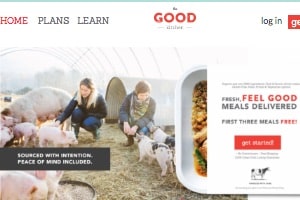 The Good Kitchen home page - is a north carolina based paleo food delivery service offering both a la card individual paleo entrees as well as weekly subscription plans. They source produce from their network of small farmers in the Charlotte NC area, including pasture raised grass fed meats. ModPALEO is a great option for paleo nyc delivery services, as they strive to keep meal costs reasonable while providing high quality meals. They are also worth considering if you are looking for gluten free nyc delivery options and organic meal delivery nyc options as their meals are both gluten free and ingredients tend to be almost exclusively organic. ModPALEO is definitely a company to consider for paleo food delivery nyc services.